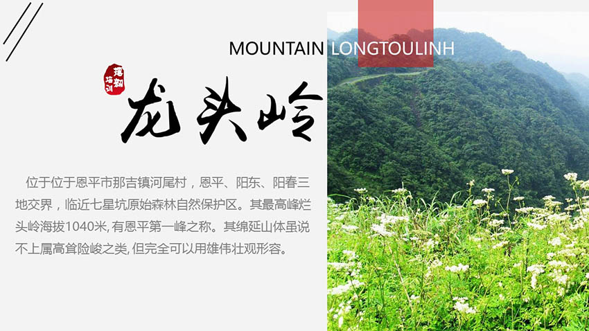 高山草甸龍頭嶺