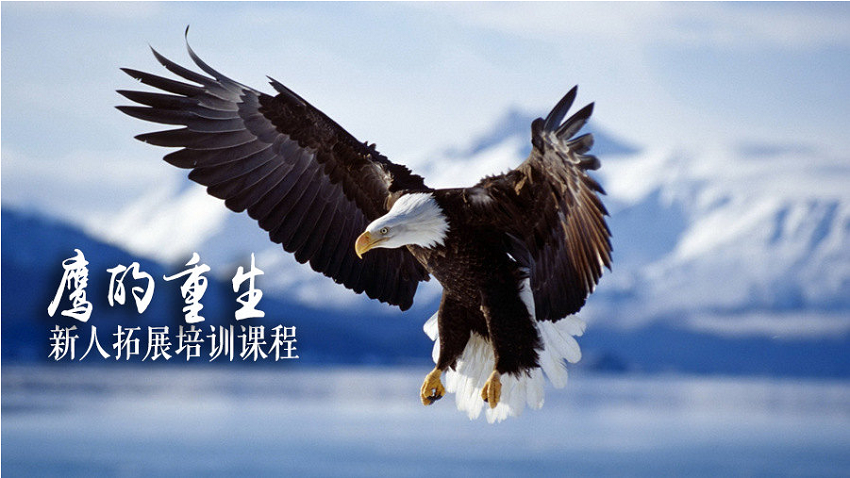 鷹的重生-新員工拓展課程