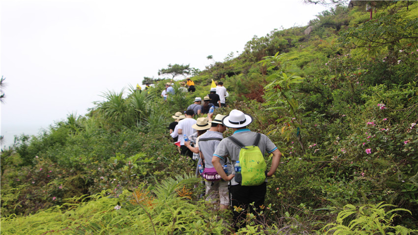 廣東六五網(wǎng)絡(luò)科技有限公司惠州巽寮灣海沙灘團建活動