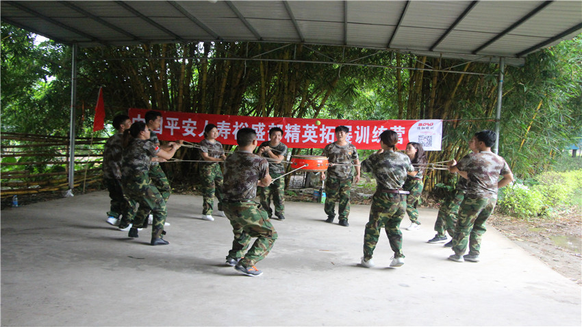 中國(guó)平安人壽佛山南海大濕地拓展訓(xùn)練活動(dòng)