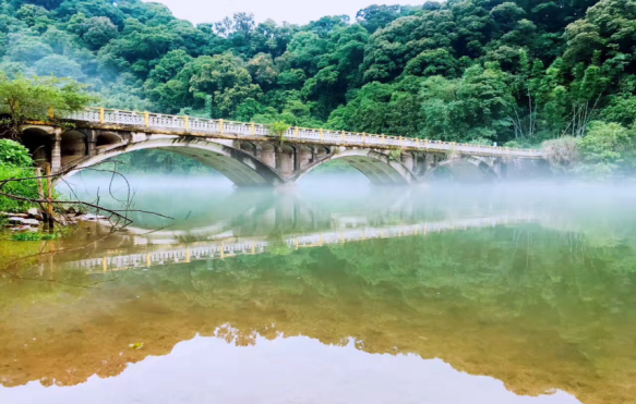 百舸爭流——皮劃艇